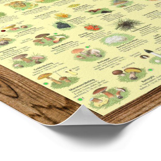 " Deutschland: 2020 - Das gross PILZe Bestimmungs- ポスター (角)