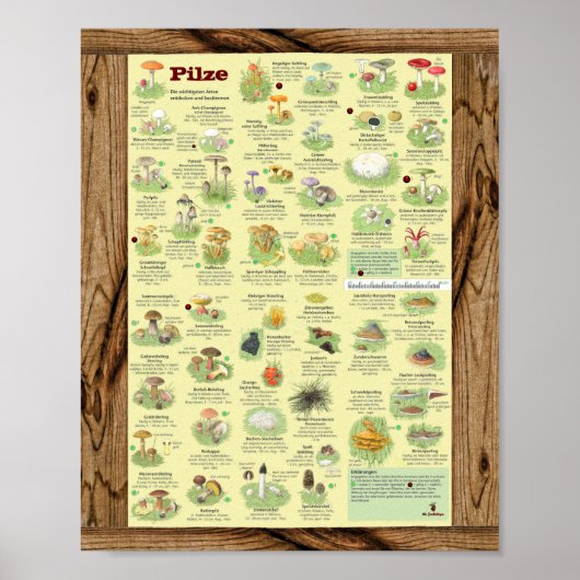 " Deutschland: 2020 - Das gross PILZe Bestimmungs- ポスター (正面)