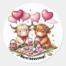 Deux adorables vaches Highland, l'une blanc cassé 