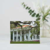 D'Evereux Antebellum Home - Natchez, MS ポストカード (スタンド正面)