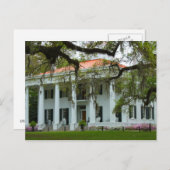 D'Evereux Antebellum Home - Natchez, MS ポストカード (正面/裏面)