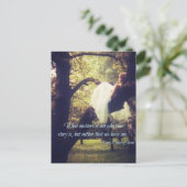 Devi引用文、はがき ポストカード (スタンド正面)