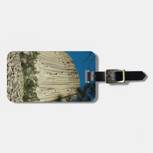 Devilsタワー簡単IDパーソナル ラゲッジタグ (正面横)