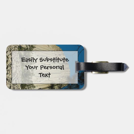 Devilsタワー簡単IDパーソナル ラゲッジタグ (裏面横)