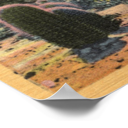 Devil's Garden View of San Jacinto # 1 ポスター (角)