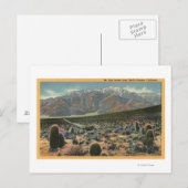 Devil's Garden View of San Jacinto # 1 ポストカード (正面/裏面)