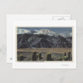 Devil's Garden View of San Jacinto # 2 ポストカード (正面/裏面)