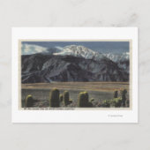 Devil's Garden View of San Jacinto # 2 ポストカード (正面)