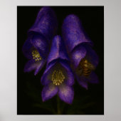 Devil's Helmet: Toxic Elegance Impressionist Art ポスター (正面)