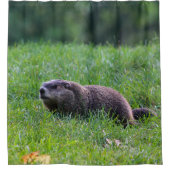 Devils Hole Digger シャワーカーテン (正面)