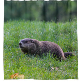 Devils Hole Digger シャワーカーテン