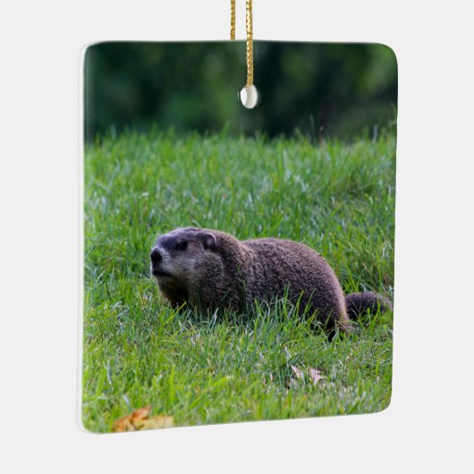 Devil's Hole Digger セラミックオーナメント (右)