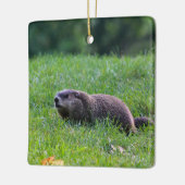 Devil's Hole Digger セラミックオーナメント (左)