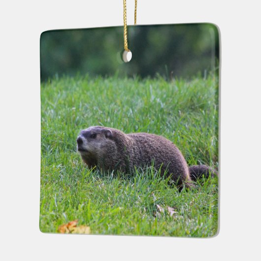 Devil's Hole Digger セラミックオーナメント (左)