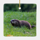 Devil's Hole Digger セラミックオーナメント (裏面)