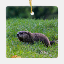 Devil's Hole Digger セラミックオーナメント