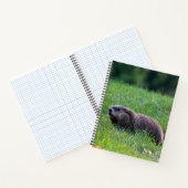 Devil's Hole Digger ノートブック (内部)