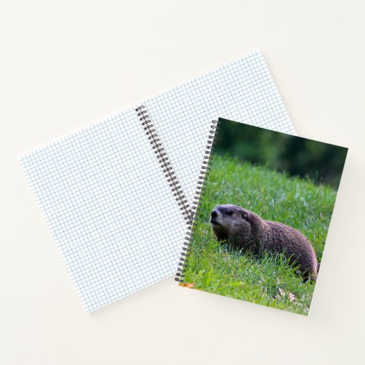 Devil's Hole Digger ノートブック (内部)