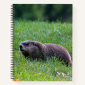 Devil's Hole Digger ノートブック (正面)