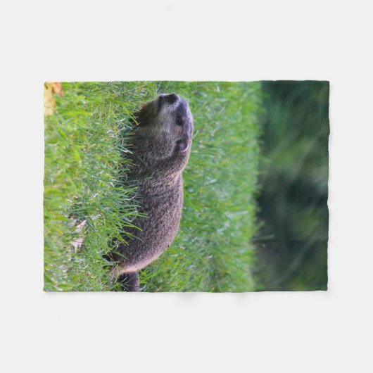 Devil's Hole Digger フリースブランケット (正面(横))