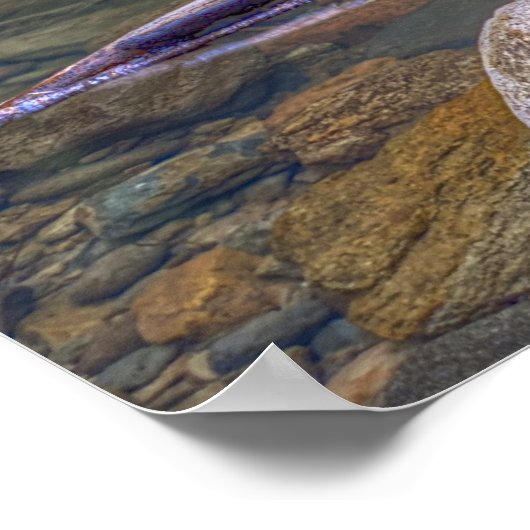 Devil's Punchbowl Waterfall ポスター (角)