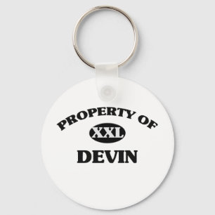 DEVINの特性 キーホルダー
