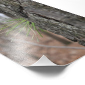 Devin Michael Figueroa 00010 フォトプリント (角)