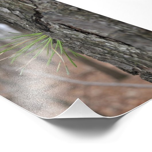 Devin Michael Figueroa 00010 フォトプリント (角)