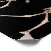 "Devolution", funny, humor, parody of evolution ポスター (角)