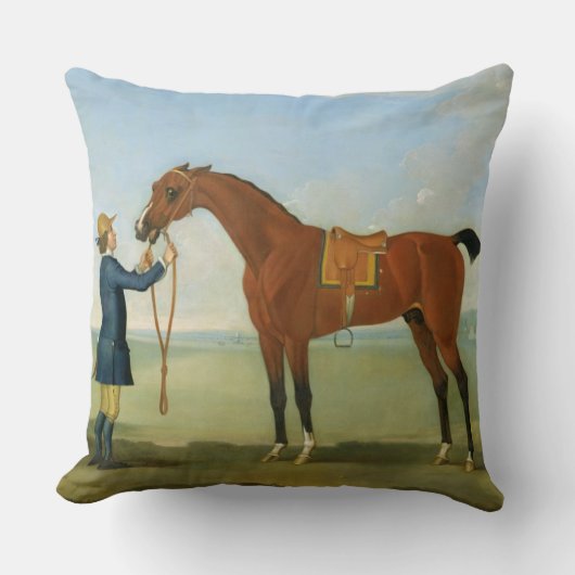 Devonshireの飛行Childers 1742年の公爵(oi クッション (正面)