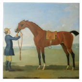 Devonshireの飛行Childers 1742年の公爵(oi タイル (正面)