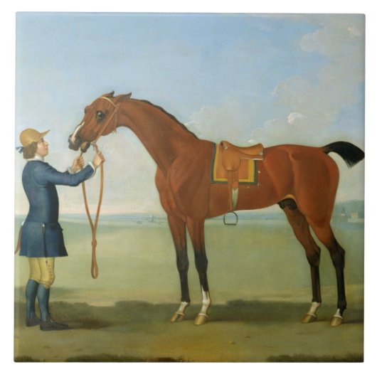 Devonshireの飛行Childers 1742年の公爵(oi タイル (正面)