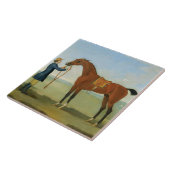 Devonshireの飛行Childers 1742年の公爵(oi タイル (側面)