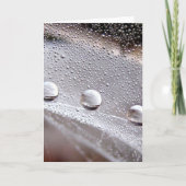 Dew Drop Astral Stories in Nature カード (正面)