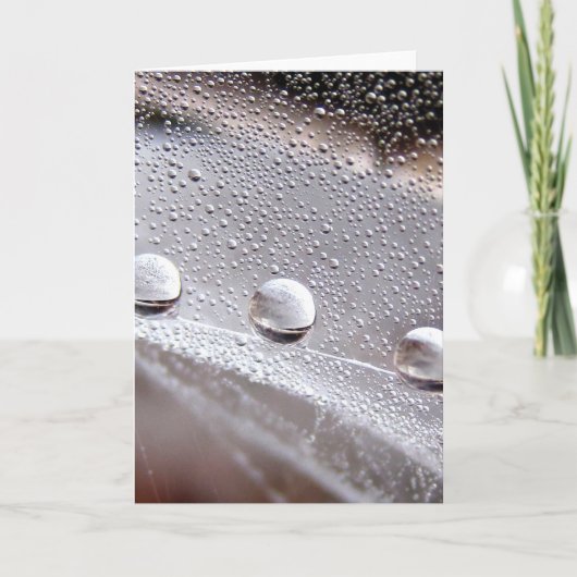 Dew Drop Astral Stories in Nature カード (正面)