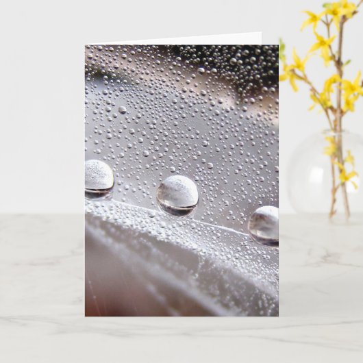 Dew Drop Astral Stories in Nature カード (黄色い花)