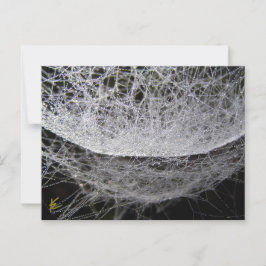 Dew Drop Water Hammock Spider Web ポストカード