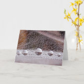 Dew Drop Yin Yang Stories in Nature カード (黄色い花)