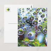 Dew Drops Cascade into Sky, Mesmerizing Botanical ポストカード (正面/裏面)