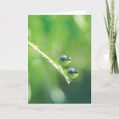 Dew Drops on Green Grass Earth Reflections カード (正面)