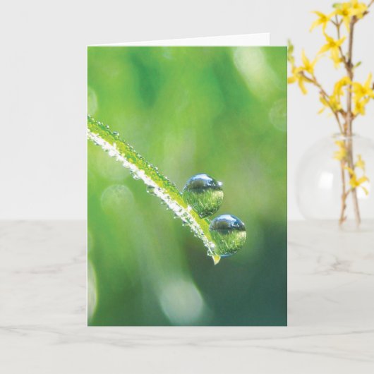 Dew Drops on Green Grass Earth Reflections カード (黄色い花)