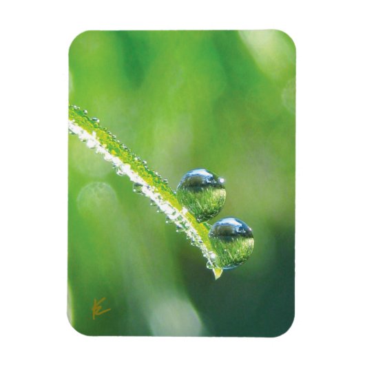 Dew Drops on Green Grass Peaceful Nature マグネット (縦)