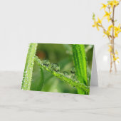 Dew Drops on Green Grass Poetry of Nature カード (黄色い花)