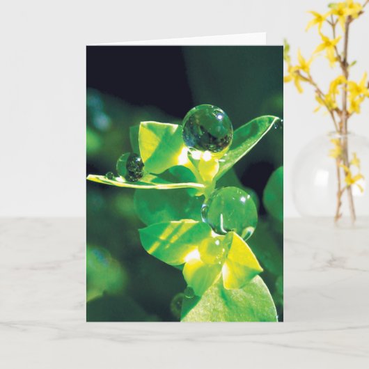 Dew Drops on Green Petals Peaceful Nature  カード (黄色い花)