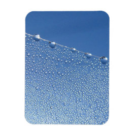 Dew Drops on Spider Web Against Blue Sky マグネット