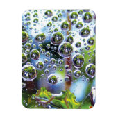 Dew Drops on Spider Web Amazing Nature マグネット (縦)