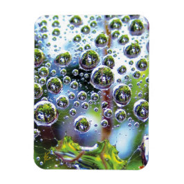 Dew Drops on Spider Web Amazing Nature マグネット