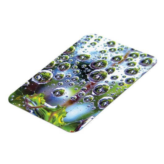 Dew Drops on Spider Web Amazing Nature マグネット (左側)