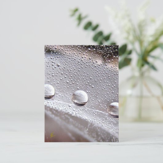 Dew Drops on Spider Web Galaxy Nature ポストカード (スタンド正面)