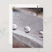 Dew Drops on Spider Web Galaxy Nature ポストカード (正面/裏面)